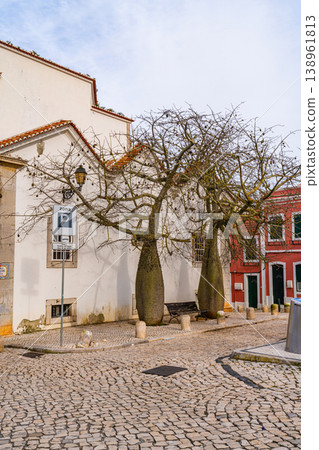 Cobblestone street with trees and houses in Cascais Portugal 138961813