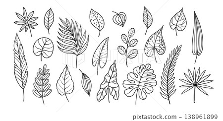 Tropical leaves doodle vector set with monstera, palm, philodendron and eucalyptus foliage, hand drawn botanical outline collection, black and white exotic leaf clipart Tropical leaves doodle vector set with monstera, palm, philodendron and eucalyptus foliage, hand drawn botanical outline collection, black and white exotic leaf clipart 138961899