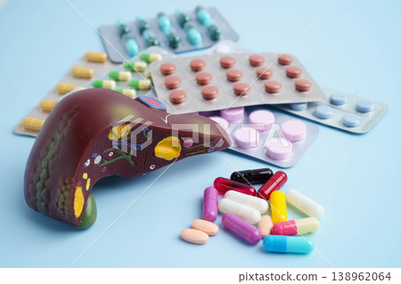 Liver model with pill drug treatment, Cirrhosis, Liver cancer, fatty liver. Liver model with pill drug treatment, Cirrhosis, Liver cancer, fatty liver. 138962064