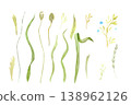 Botanical elements watercolor set with wild grass, leaves and delicate stems. Hand painted collection perfect for floral design, branding, wedding invitations, organic packaging, natural compositions 138962126