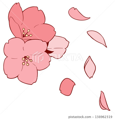 Cherry Blossom Cherry Blossom 138962319