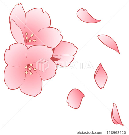 Cherry Blossom	 138962320