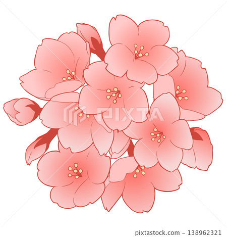 Cherry Blossom Cherry Blossom 138962321