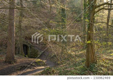 Mystic forest, Muttental, Witten, North Rhine Westphalia, Germany Mystic forest, Muttental, Witten, North Rhine Westphalia, Germany 138962469
