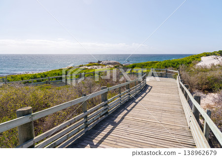 Wooden walkway leading to the ocean 138962679
