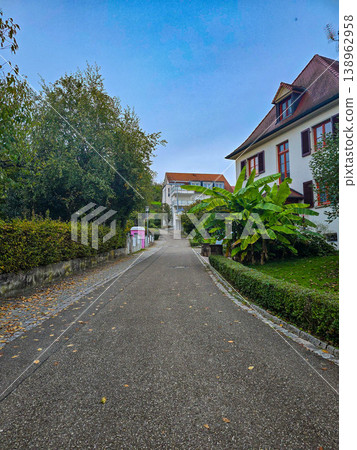 Charming street view in a European town with a traditional house covered in red ivy. Charming street view in a European town with a traditional house covered in red ivy. 138962958