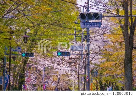深大寺春景 深大寺春景 138963013