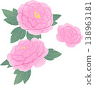 Japanese-style vector illustration of a peony flower. Single element. Elegant peony flower. 138963181