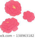 Japanese-style vector illustration of a peony flower. Single element. Elegant peony flower. 138963182