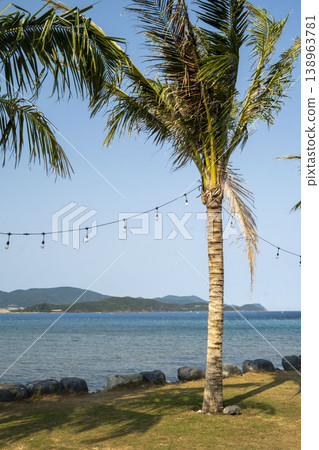 A tropical seaside scene with a tall palm tree, calm blue water, and distant islands under a clear sky, creating a peaceful and relaxing coastal atmosphere. A tropical seaside scene with a tall palm tree, calm blue water, and distant islands under a clear sky, creating a peaceful and relaxing coastal atmosphere. 138963781
