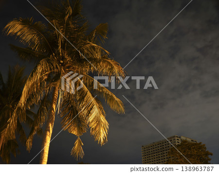 Illuminated palm tree against a dramatic cloudy night sky with a modern building in the background, creating a warm and atmospheric tropical city scene. Illuminated palm tree against a dramatic cloudy night sky with a modern building in the background, creating a warm and atmospheric tropical city scene. 138963787