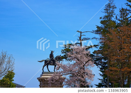 Equestrian statue of Date Masamune and cherry blossoms in full bloom at Aoba Castle ruins 138963905