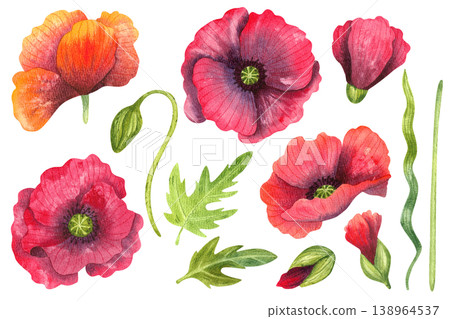 Red poppies, flower buds, and green leaves, isolated watercolor set. Colorful wildflowers and plants. Hand drawn botany in a simple, vibrant style for invitations, greeting cards, and packaging. Red poppies, flower buds, and green leaves, isolated watercolor set. Colorful wildflowers and plants. Hand drawn botany in a simple, vibrant style for invitations, greeting cards, and packaging. 138964537