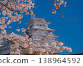 櫻花映襯著藍天，與世界遺產姬路城遙相呼應。 138964592