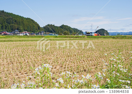 收穫的風景 收穫的風景 138964838