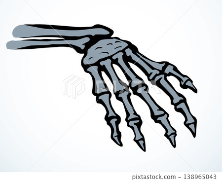 Vector drawing. Bones of the hand 138965043