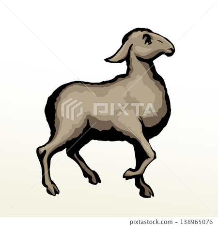 Vector drawing. Cute small sheep Vector drawing. Cute small sheep 138965076