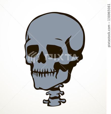 Vector drawing. Skull and neck bones Vector drawing. Skull and neck bones 138965081