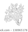 Mint plant outline drawing, a spicy herb. Minimalistic illustration. 138965178