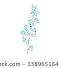Outline drawing of a plant, a flower, Field herbs. Minimalistic illustration. 138965184