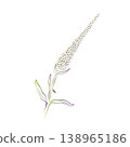Outline drawing of a plant, a flower on a branch. Field herbs Minimalistic illustration. 138965186