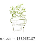 Outline drawing of a plant, a pot with sprouts. Minimalistic illustration. 138965187