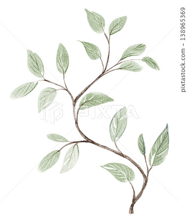 Branch watercolor hand painted illustration with green leaves and foliage. Branch isolated botanical element with twig detail on white background. Design element for invitation, postcard, decoration. 138965369