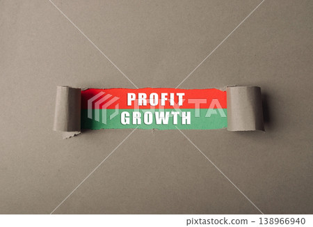 Visual Representation of Profit Growth Concept Visual Representation of Profit Growth Concept 138966940