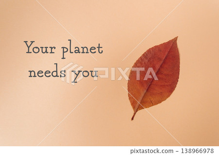 Single dried leaf on soft peach background, symbolizing nature's fragility and the urgent need for environmental protection and ecological awareness Single dried leaf on soft peach background, symbolizing nature's fragility and the urgent need for environmental protection and ecological awareness 138966978