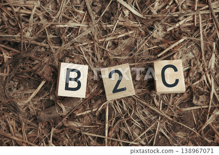 Understanding B2C Marketing Strategies and Concepts Understanding B2C Marketing Strategies and Concepts 138967071
