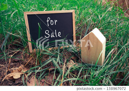 Wooden House Model with For Sale Sign in Grass 138967072