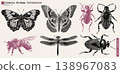 butterfly, insect, bug 138967083