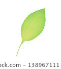 Simple hand-drawn illustration of a single leaf. 138967111