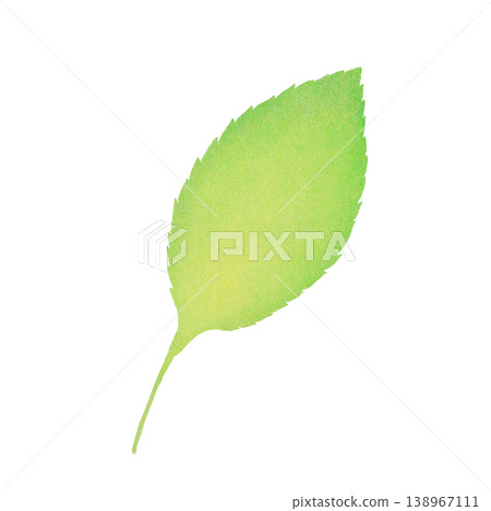 Simple hand-drawn illustration of a single leaf. Simple hand-drawn illustration of a single leaf. 138967111
