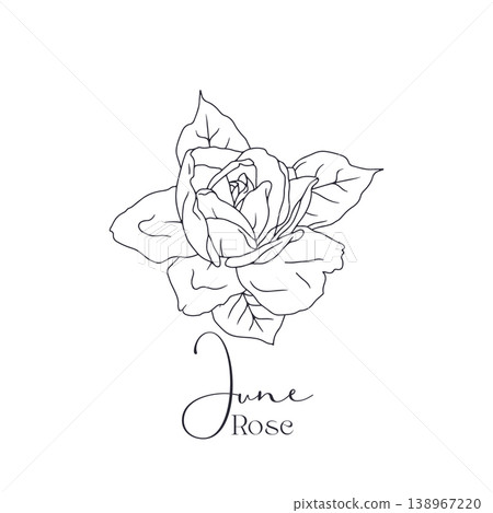 Hand drawn black and white line art flower with text june rose Hand drawn black and white line art flower with text june rose 138967220