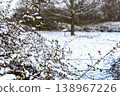 Snowy branches in winter landscape with blurred background 138967226