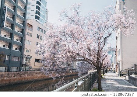 名古屋市名屋橋的春日景色。 名古屋市名屋橋的春日景色。 138967387