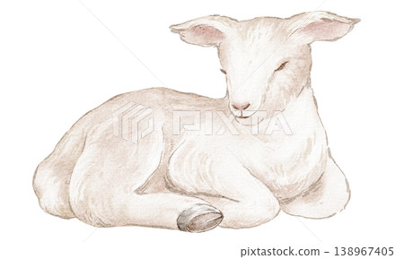 Lamb watercolor hand painted illustration of cute baby sheep animal. Lamb isolated drawing with peaceful resting pose and white wool detail. Design element for Easter card, print and poster use. 138967405