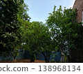 Great hostel in good sunset 138968134