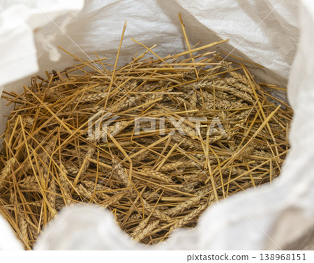 Image shows a close-up texture of harvested wheat or straw, commonly used as an agricultural background or for decorative purposes 138968151