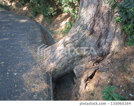 2014年,香川,觀音寺,八幡,風景,琴引公園,第93部分 2014年,香川,觀音寺,八幡,風景,琴引公園,第93部分 138968164