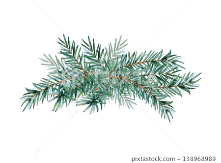 Watercolor spruce branches for your design. Evergreen pine fir twigs are lying. Clip art illustration isolated from background. Hand painted tree coniferous plant for holiday winter decoration Watercolor spruce branches for your design. Evergreen pine fir twigs are lying. Clip art illustration isolated from background. Hand painted tree coniferous plant for holiday winter decoration 138968989