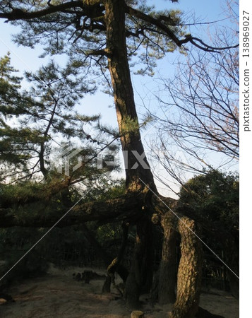 2014年,香川,觀音寺,八幡,風景,琴引公園,第105部分 2014年,香川,觀音寺,八幡,風景,琴引公園,第105部分 138969027