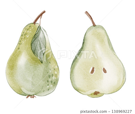 Pear illustration watercolor hand painted. Fresh, organic pear design with vibrant green hues. Perfect for food packaging, menus and health focused designs. 138969227