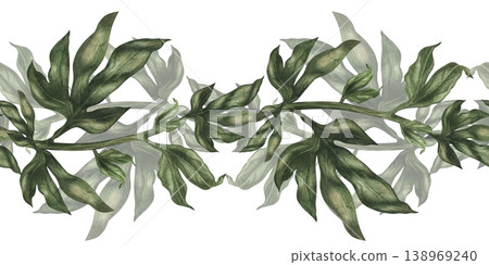 Seamless border of green peony branches isolated on white. Watercolor botanical greenery with soft natural texture for floral compositions, wedding design, branding, packaging, elegant botanical decor 138969240
