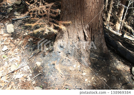 Mountain trail, fire site Mountain trail, fire site 138969384