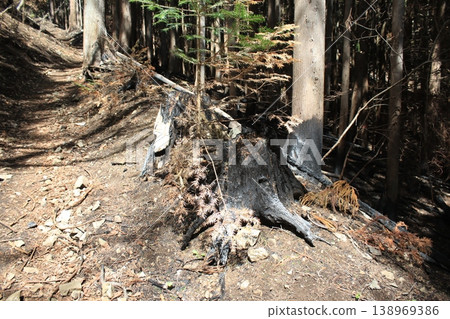山間小徑,火災現場 山間小徑,火災現場 138969386