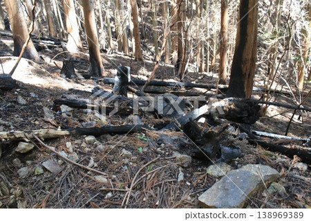Mountain trail, fire site Mountain trail, fire site 138969389