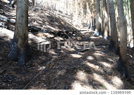 Mountain trail, fire site Mountain trail, fire site 138969390