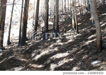 Mountain trail, fire site Mountain trail, fire site 138969393